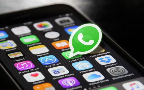 Nahraďte aplikaci WhatsApp bezpečnější alternativou. Jakou?