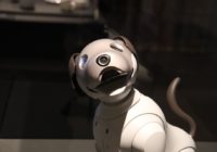 Psí roboti se brzy dostanou do prodeje, mají utáhnout i nákladní vůz