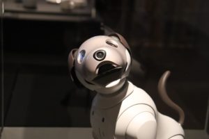 Psí roboti se brzy dostanou do prodeje, mají utáhnout i nákladní vůz