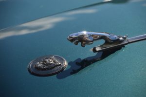 Jaguar začne vyrábět elektromobily. Miliony liber investuje do britské výroby